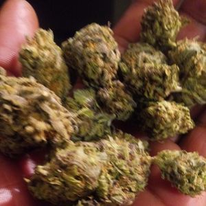 Meet your Posher, Jan'ene